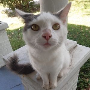 Meet your Posher, Amber